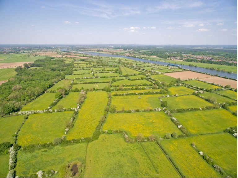 Excursie over heggen, hagen en landschapsherstel