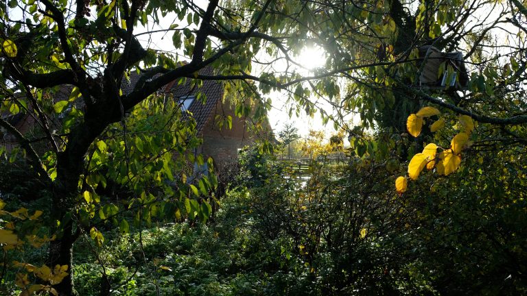 Biodiversiteit is onderdeel van de kruidenmix van Verstegen