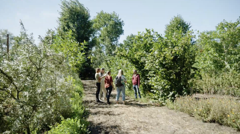 Documentaire Agroforestry: leren met boeren in de praktijk