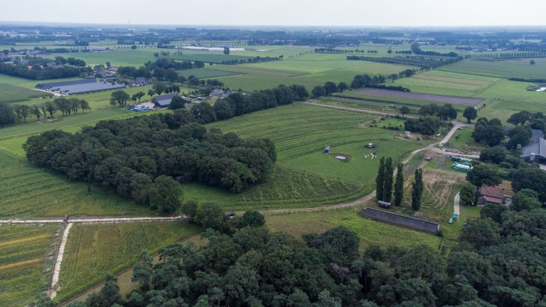 Vijf notenbomen voor een retourtje India