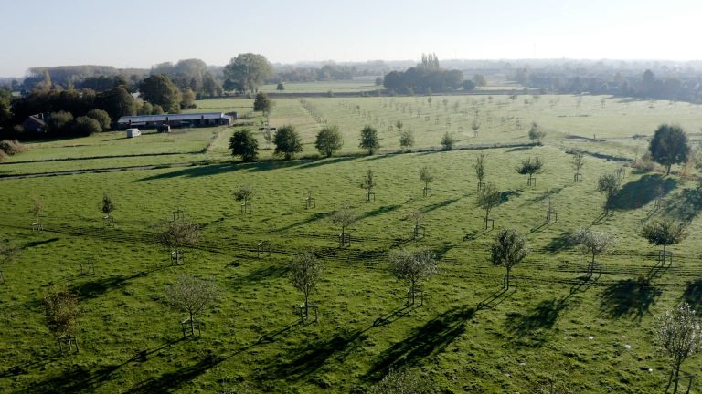Nieuwe teelten en natuurinclusieve landbouw als toekomstig verdienmodel