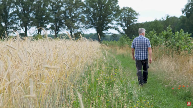 Natuurgedreven: nieuwe mini-documentaireserie over Nederlandse eiwitboeren