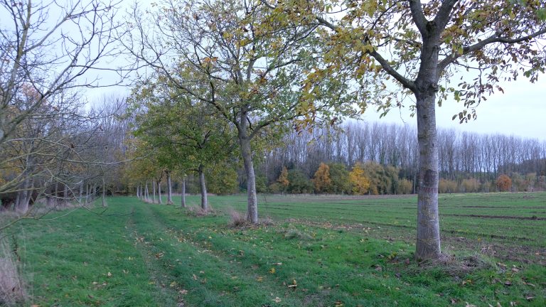 International Forest Garden / Food Forest Symposium