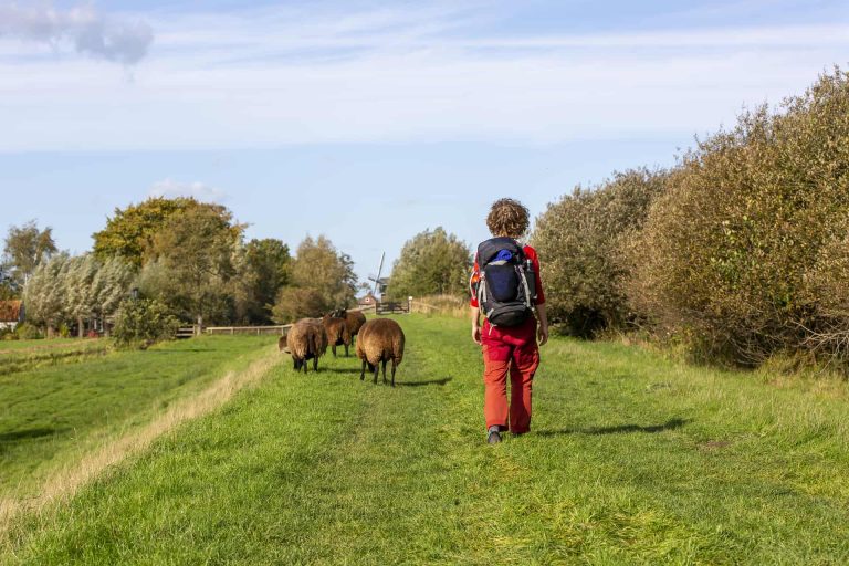 Workshop financiering van landschapselementen