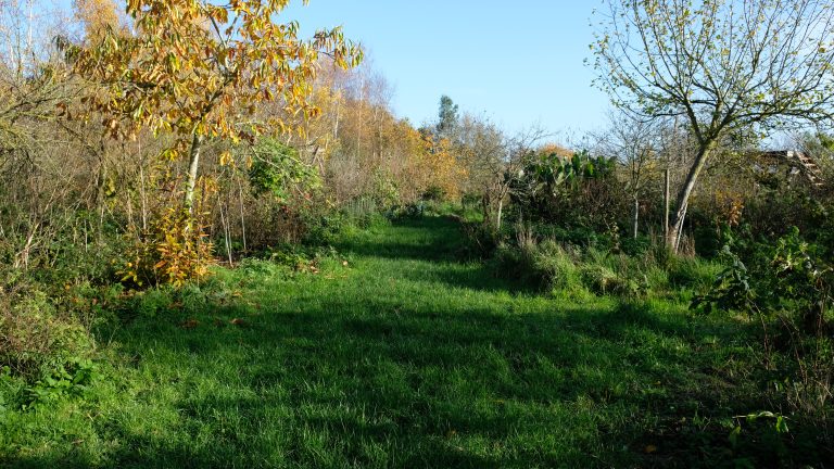 Kabinet neemt opschaling agroforestry mee in gebiedsaanpak