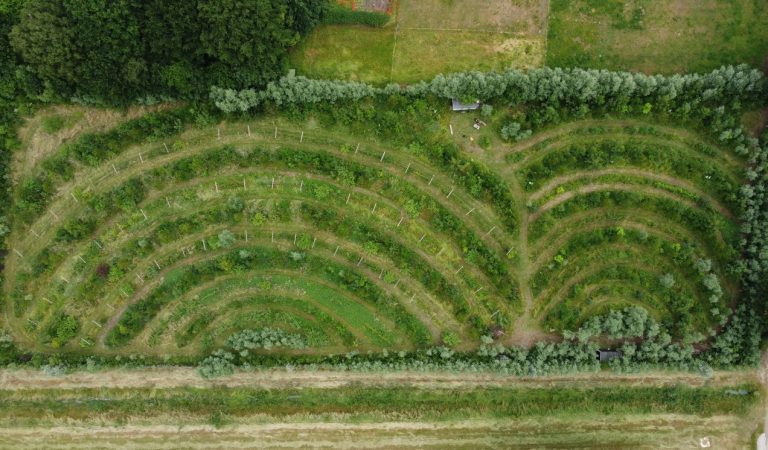 Brabant is koploper agroforestry