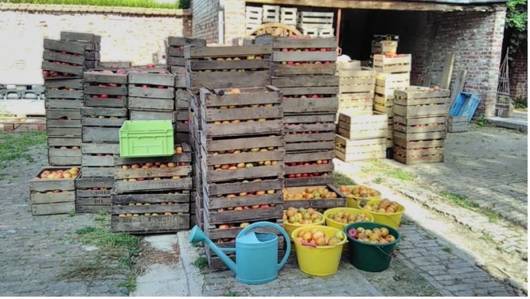 Mini symposium afzet agroforestry producten