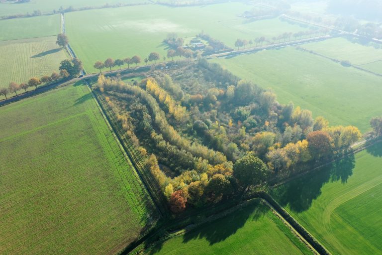Provincies komen samen in kennissessies over agroforestry