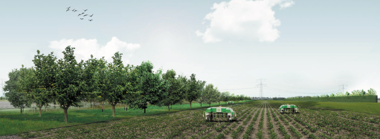 Factsheet 12: Hoe past agroforestry in een open landschap? Enkele ontwerpen voor akkerbouw in Zeeland