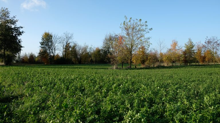 Informatiebijeenkomsten Agroforestry Netwerk Limburg