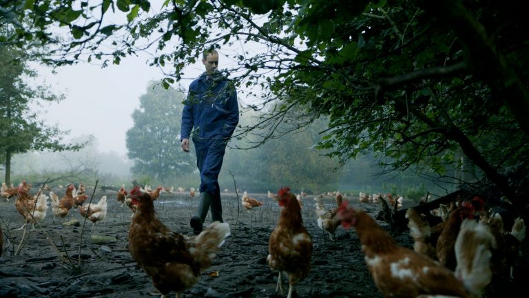 Online bijeenkomst ‘Bomen in kippenuitlopen’