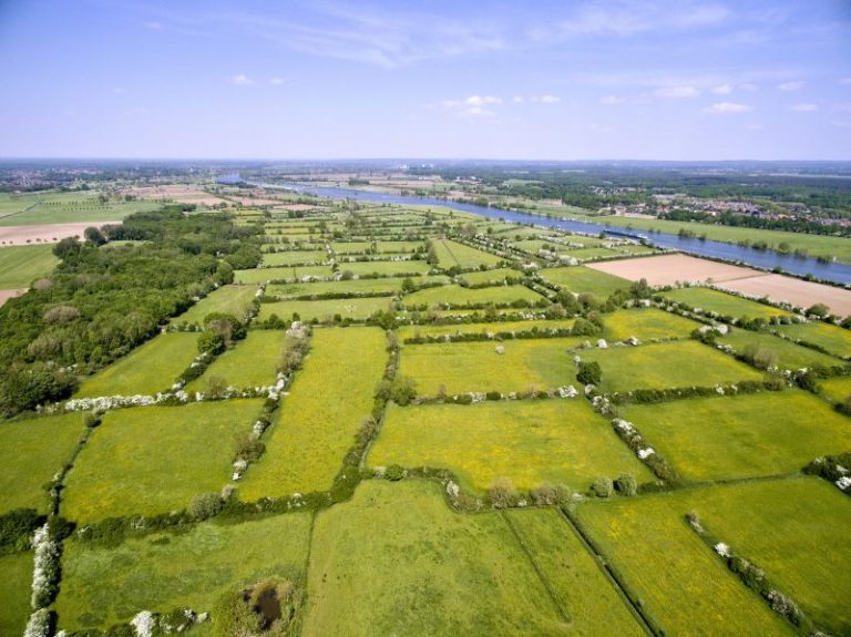 Praktijkochtend: Functies van heggen in de landbouw
