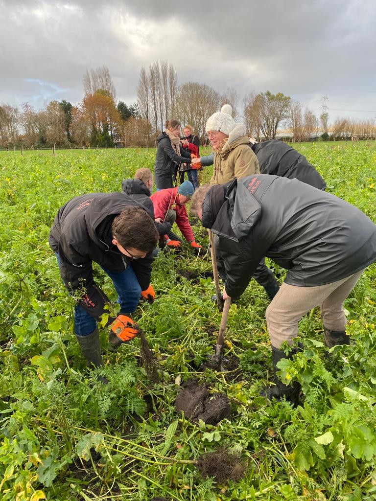 Eerste systemen deelnemers PPS Verdienmodellen Agroforestry worden gerealiseerd