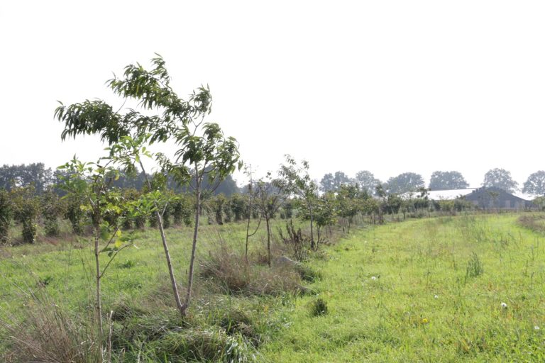 Natuurinclusief boeren: Meer resultaat, minder druk!