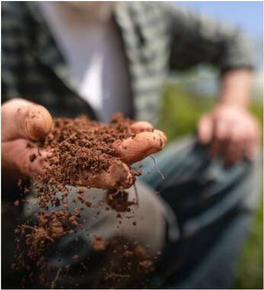 Stakeholderbijeenkomst Agroforestry Netwerk Nederland