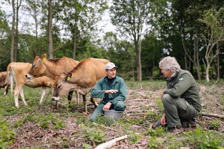 Top-10 baanbrekende agroforestry pioniers inspireren door samen te werken met de natuur