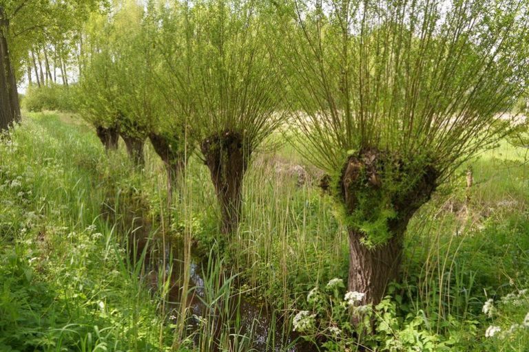Acht miljoen voor mooier landschap in Noord-Brabant