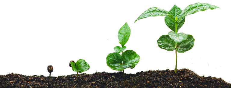 Agroforestry Onder de Aandacht: terugblik op de Nationale Bodemtop 2024