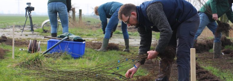 Experiment met bomen op Dairy Campus