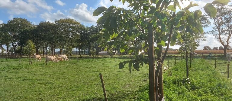 Bijeenkomst Agroforestry Netwerk Overijssel