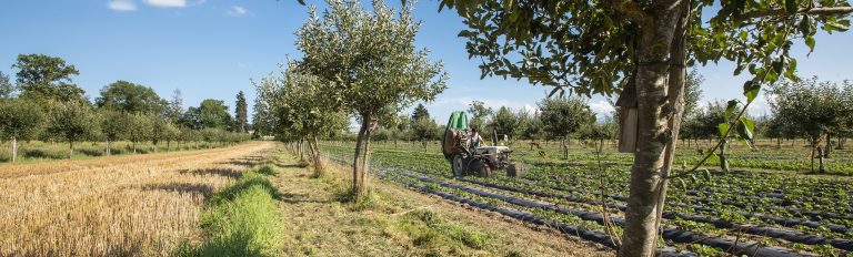 Het Agro Farm Forestry label (AFF) is officieel opgericht en online