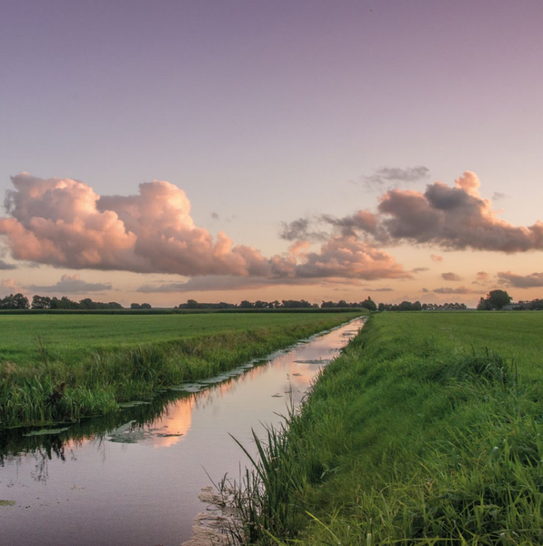 Nieuw Leerboek over natuurinclusieve landbouw in de praktijk