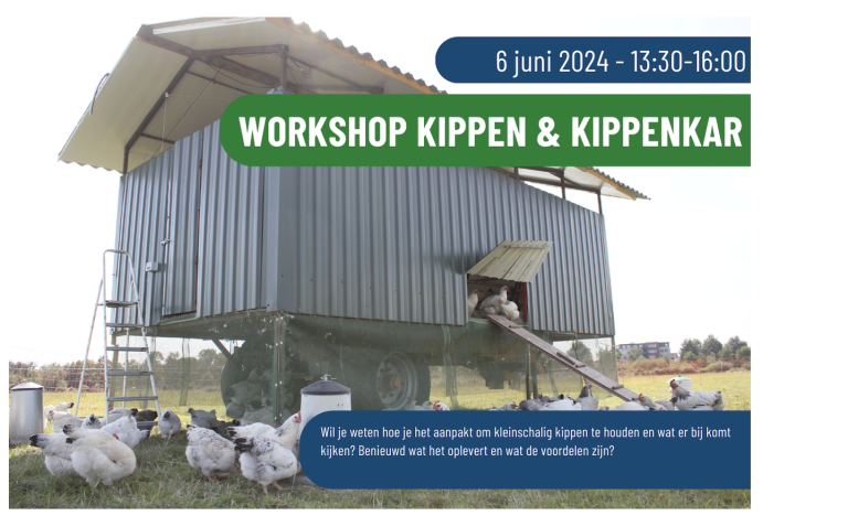 Workshop kippen & kippenkar