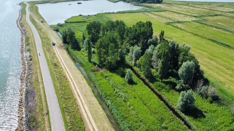 Voedselbos Schellinkwoud bij Hoorn in de verkoop