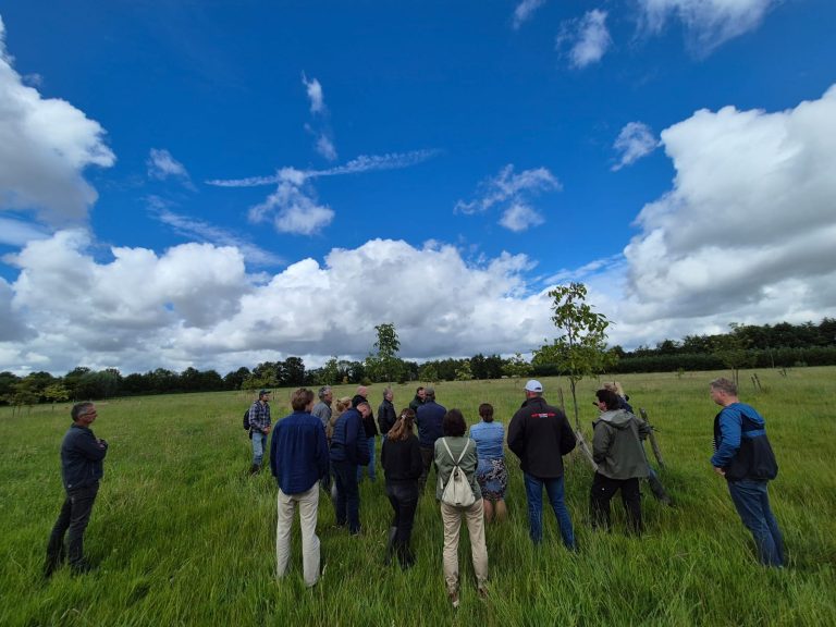 workshop introductie Agroforestry