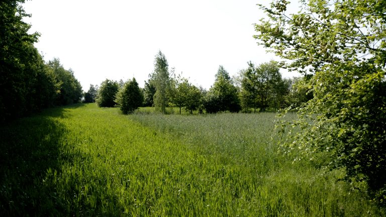 Agroforestry film ‘Bomen op mijn land’ op de BioVelddag
