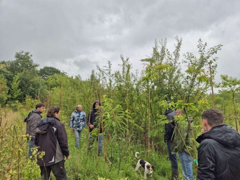 Succesvolle Kwekersbijeenkomst van Tamme Kastanje Community bij Jade Reforestry