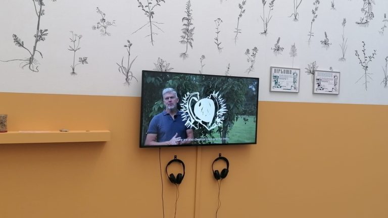 Boeren en Bodem: Een Agroforestry Pionier in het Van Abbemuseum