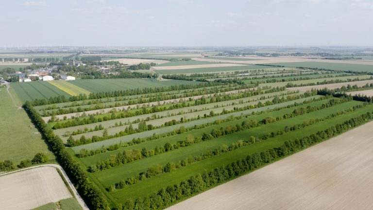 Documentaire ‘Bomen op mijn land’ gaat internationaal: vertoning op Prague Science Film Fest en Nederlandse ambassade in Beijing