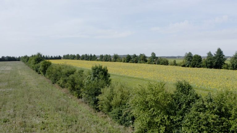 Food Film Fest 2024: Ontdek ‘Bomen op mijn Land’ en Meer