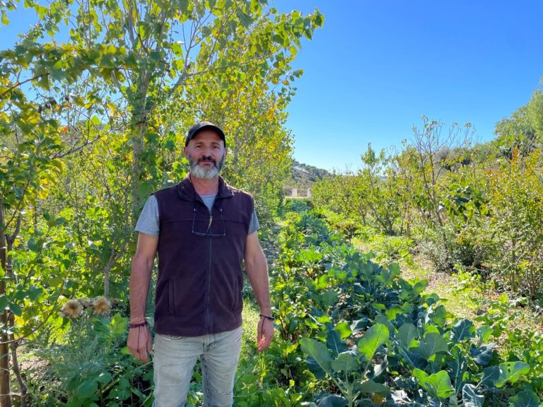 Landbouw en veeteelt met bomen in Portugal: Hoe bomen en struiken de voedselketen kunnen versterken