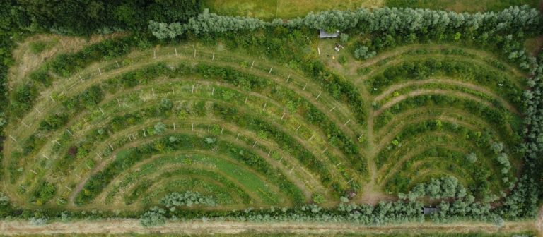Uitnodiging Natuurpositief Boeren met Voedselbosbouw