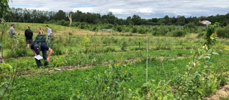 Maak kennis met de verschillende typen agroforestry in Nederland