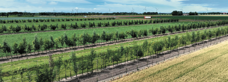 Introductie Opleiding Bedrijfskundig Adviseur AgroForestry