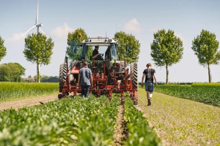 Factsheet 1 ‘Bomen planten op landbouwgrond, wat mag ik?’ is herzien!