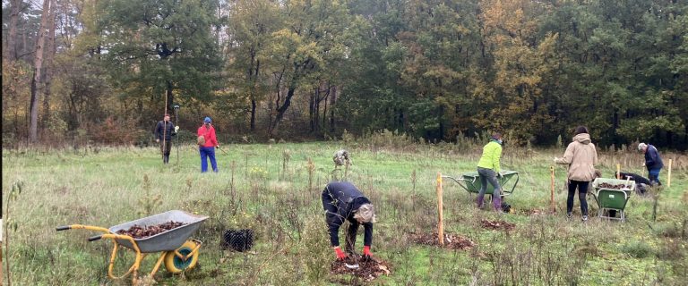 Studiedag afzet, verwerking en vermarkting van agroforestryproducten