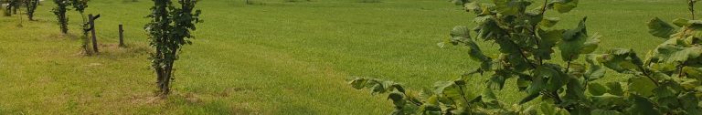 Bomen planten op landbouwgrond: Hoe zit dat met wetten en regels?