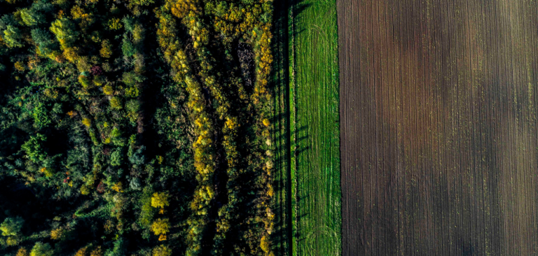 Meld je nu aan: Agroforestry kennisevenement voor overheden en andere stakeholders