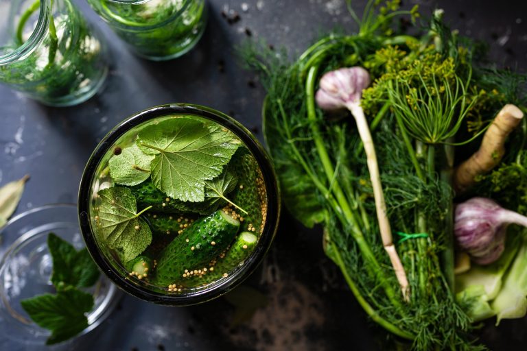 Nieuw kookboek: “Recepten en mogelijkheden met ingrediënten van eigen bodem”