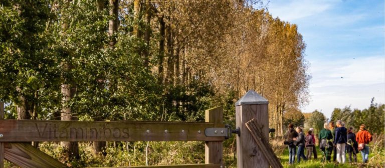 Nieuw handboek helpt gemeenten bij beleid voor (buurt)voedselbossen