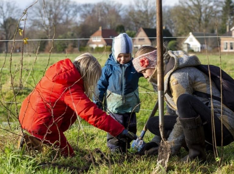 Webinar: Meerwaarde van bomen in een natuurlijk landbouwsysteem