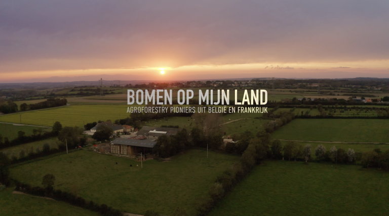 Bezoek of organiseer een lokale filmvertoning van ‘Bomen op mijn land’