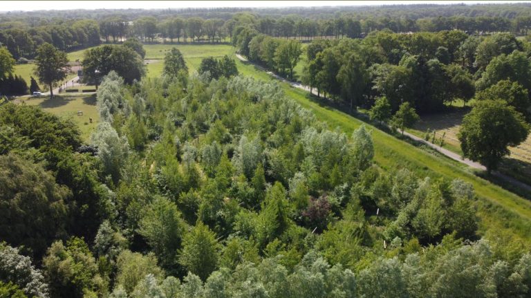 Workshop: syntropische agroforestry – wat en hoe