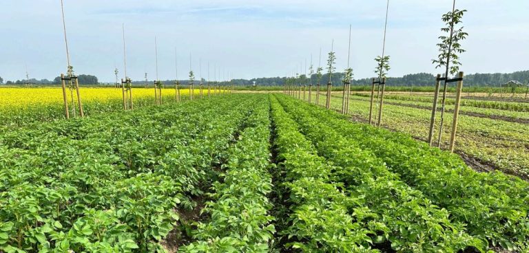 Bijeenkomst Agroforestry en Akkerbouw