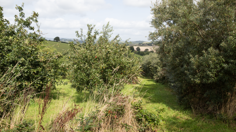 Symposium Agroforestry en Agrarische Voedselbossen