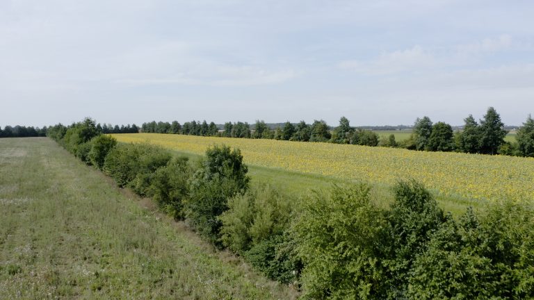 Film ‘Bomen op mijn land’ en onderwijsfilms nu openbaar beschikbaar op Groen Kennisnet
